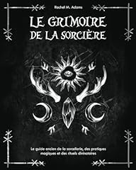 Grimoire sorcière guide d'occasion  Livré partout en France