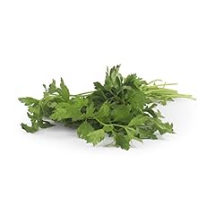 Organic italian parsley for sale  Delivered anywhere in USA 