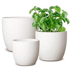 Hlukana ceramic plant for sale  Delivered anywhere in USA 