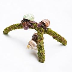 Jinymral hermit crab for sale  Delivered anywhere in USA 