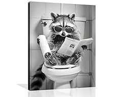 Wnanrthm waschbär toilette gebraucht kaufen  Wird an jeden Ort in Deutschland