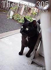 Cats 305 for sale  Delivered anywhere in USA 