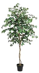 Tdiaol artificial ficus for sale  Delivered anywhere in USA 