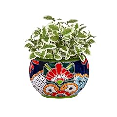 Evergreen garden talavera for sale  Delivered anywhere in USA 