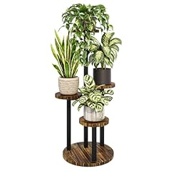 Bamworld tier plant for sale  Delivered anywhere in USA 