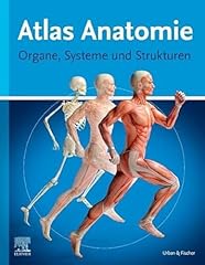 Atlas anatomie laien gebraucht kaufen  Wird an jeden Ort in Deutschland