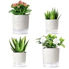 Etvski self watering for sale  Delivered anywhere in USA 