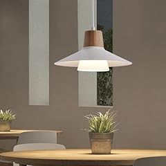 Lampada sospensione fiamma usato  Spedito ovunque in Italia 