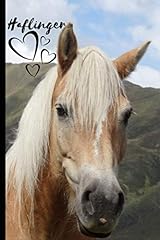 Haflinger horse notebook for sale  Delivered anywhere in USA 