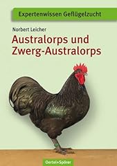 Australorps und zwerg for sale  Delivered anywhere in UK