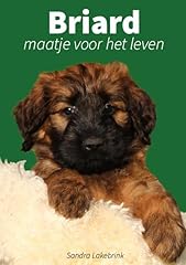 Briard maatje voor for sale  Delivered anywhere in UK