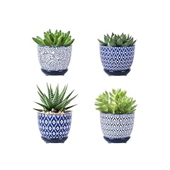 Selamica ceramic succulent for sale  Delivered anywhere in USA 