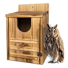 Drylf screech owl for sale  Delivered anywhere in USA 
