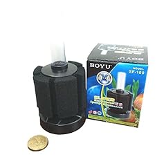 Boyu aquarium fry for sale  Delivered anywhere in UK