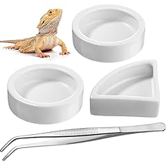 Boao pcs reptile for sale  Delivered anywhere in USA 