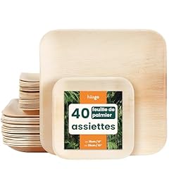 Haago assiettes assiette d'occasion  Livré partout en France