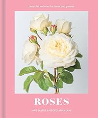rose ikebana d'occasion rose ikebana d'occasion Livré partout en France
