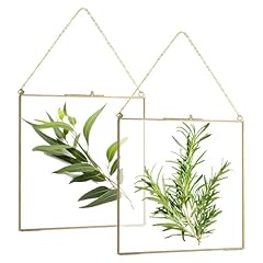 Gbachoose pcs glass for sale  Delivered anywhere in UK