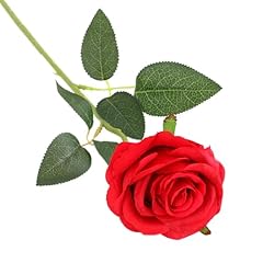 Dhsbgwsx rosa rossa usato  Spedito ovunque in Italia 