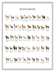 Dogs pop chart for sale  Delivered anywhere in USA 
