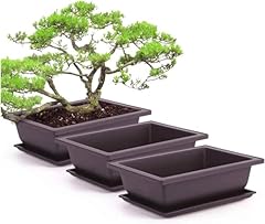 Pieces rectangle plant for sale  Delivered anywhere in UK