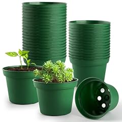 Rootrimmer pack inch for sale  Delivered anywhere in USA 
