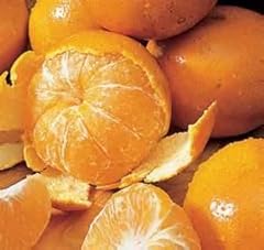 Honey tangerines fresh for sale  Delivered anywhere in USA 