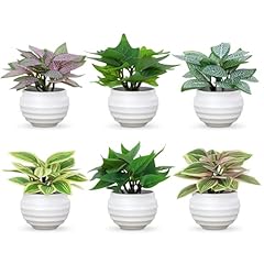 Bloom life artificial for sale  Delivered anywhere in USA 
