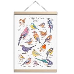 Newdv bird wall for sale  Delivered anywhere in USA 