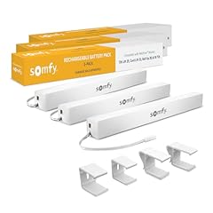 Somfy rechargeable battery for sale  Delivered anywhere in USA 