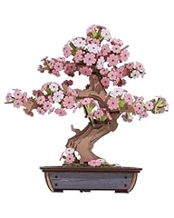 Rolife wooden puzzle for sale  Delivered anywhere in USA 