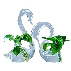Paire vases hydroponiques d'occasion  Livré partout en France