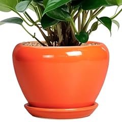 Ceramicfor ceramic plant for sale  Delivered anywhere in USA 