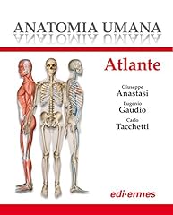 Anatomia umana. atlante usato  Spedito ovunque in Italia 