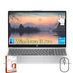 15.6 portable touchscreen for sale  Delivered anywhere in USA 