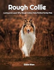Rough collie loving for sale  Delivered anywhere in Ireland