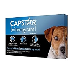 Capstar fast acting for sale  Delivered anywhere in USA 