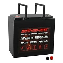 Banshee battery 12v for sale  Delivered anywhere in USA 