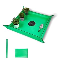 26.8 26.8 plant for sale  Delivered anywhere in USA 
