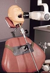 Ray dental manikin for sale  Delivered anywhere in USA 
