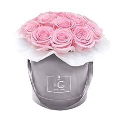 Splendid infinity rose for sale  Delivered anywhere in UK