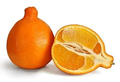 Tangelos minneola oranges for sale  Delivered anywhere in USA 