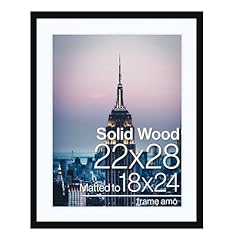 Frame amo 22x28 for sale  Delivered anywhere in USA 