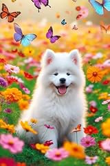 Samoyed puppy field for sale  Delivered anywhere in UK