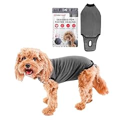 Bellyguard hundebody hündin gebraucht kaufen  Wird an jeden Ort in Deutschland