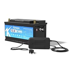 12v 100ah lifepo4 for sale  Delivered anywhere in UK