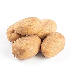 200 semi patate usato  Spedito ovunque in Italia 
