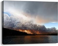 Bathroom wall art for sale  Delivered anywhere in USA 