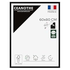 Ceanothe cadre photo d'occasion  Livré partout en France