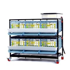 Jumbo quail breeding for sale  Delivered anywhere in USA 